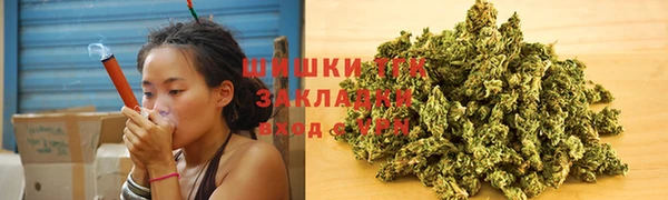 ГАЛЛЮЦИНОГЕННЫЕ ГРИБЫ Вязники