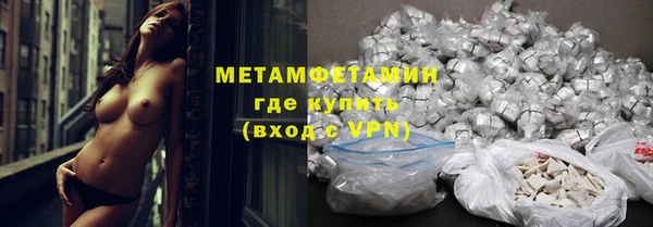 ГАЛЛЮЦИНОГЕННЫЕ ГРИБЫ Вязники
