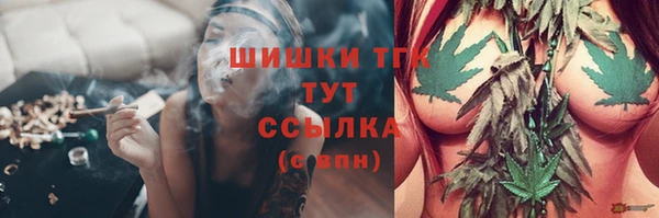 ГАЛЛЮЦИНОГЕННЫЕ ГРИБЫ Вязники