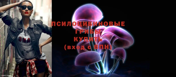 ГАЛЛЮЦИНОГЕННЫЕ ГРИБЫ Вязники