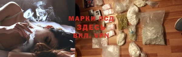 ГАЛЛЮЦИНОГЕННЫЕ ГРИБЫ Вязники