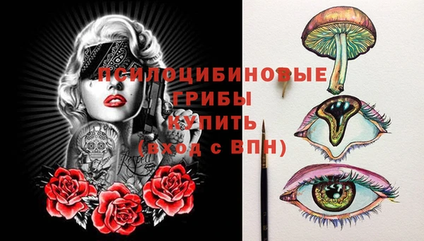 spice Вязьма
