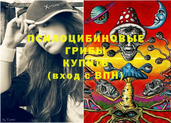 spice Вязьма