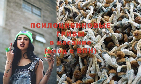 таблы Вяземский