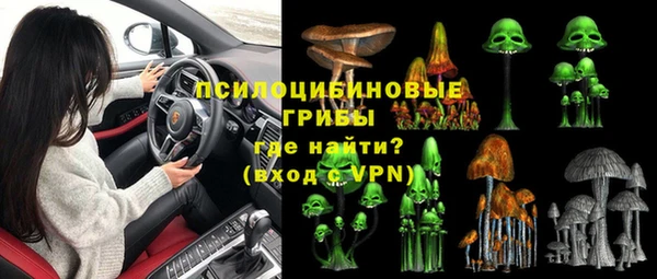 ГАЛЛЮЦИНОГЕННЫЕ ГРИБЫ Вязники