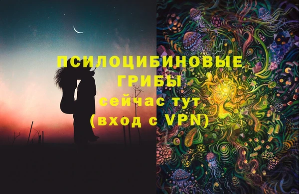 spice Вязьма