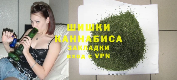 ГАЛЛЮЦИНОГЕННЫЕ ГРИБЫ Вязники