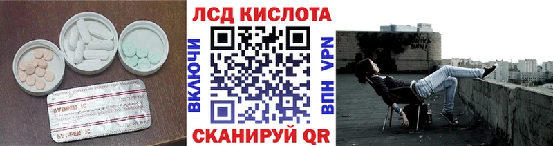 дарнет шоп  Красноярск  Лсд 25 экстази кислота 